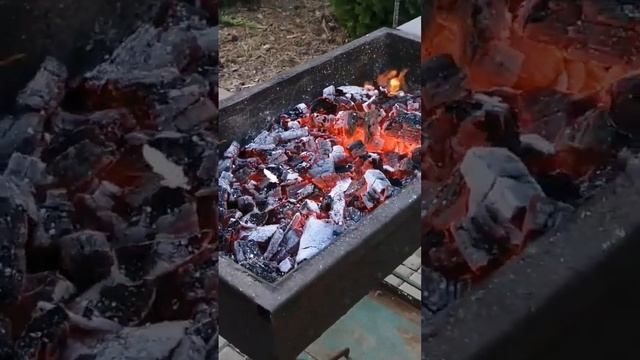 Как выглядят угли для жарки шашлыка. #food #bbq #steak #шашлык #beeffood #рецепт #мангал #еда