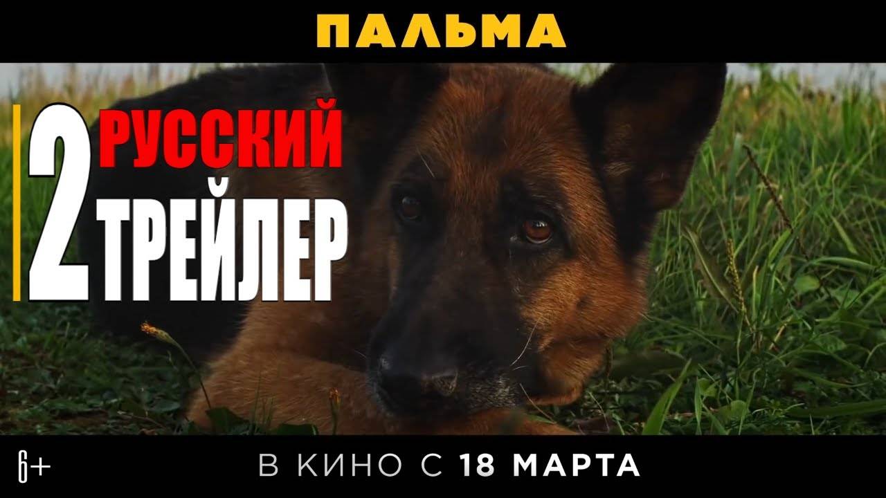 Пальма 2 (2024) — трейлер