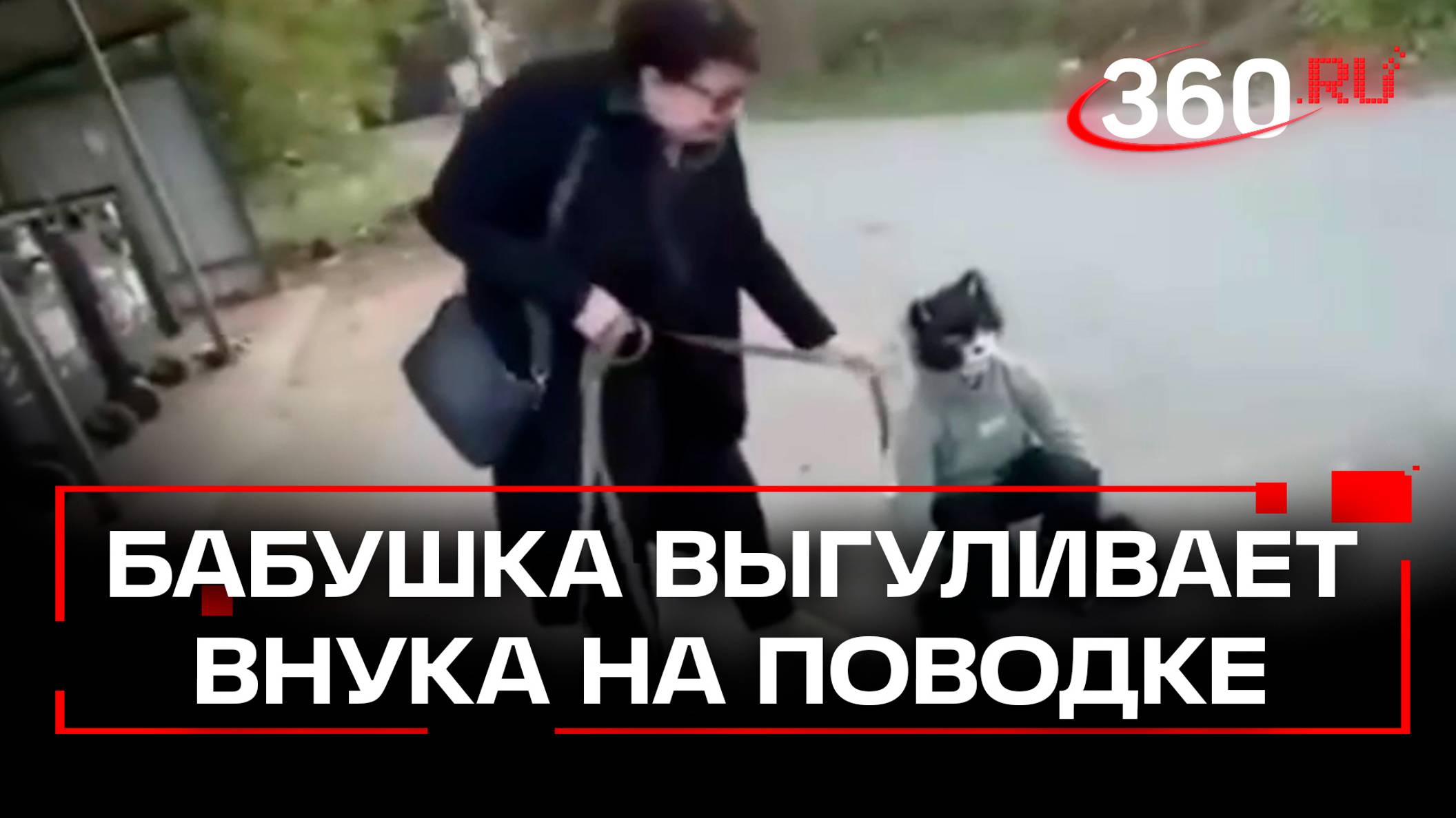 «Это мой котеночек»: бабушка выгуливает внука-квадробера на поводке