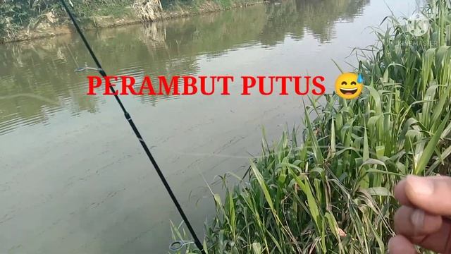 Fish On !! Ikan Patin On UL  #ultraligth #bullzen #sungailangat