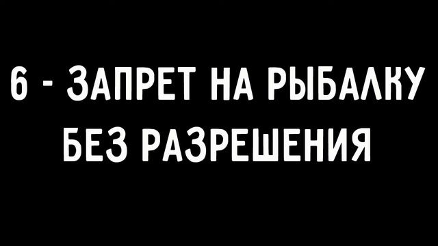 12 новых запретов в 2020 году. Что нам еще запретят?