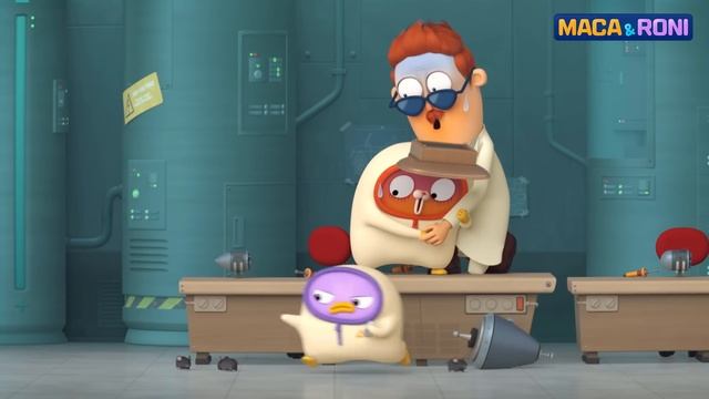MACARONI Award for Good Kids  Macaandroni Channel  Cute  Funny Cartoon