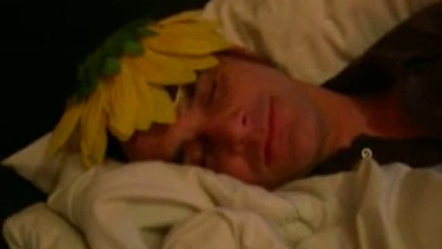 Jim and his Sunflower Dreams