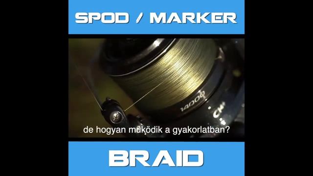 NASH - SPOD ZSINÓROK