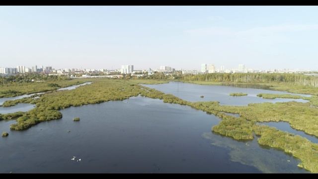 Верхне-Яузские болота в Лосином острове. 2020 г.