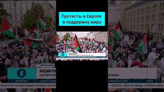 В Берлине прошли произраильские и пропалестинские демонстрации #протесты#европа #израиль #палестина