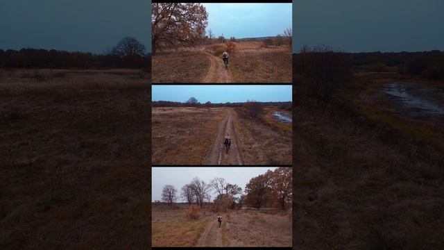 Велотрип. Skulevegen - Mozellclub. #DJI - #BikeTrip [Full 16x9]