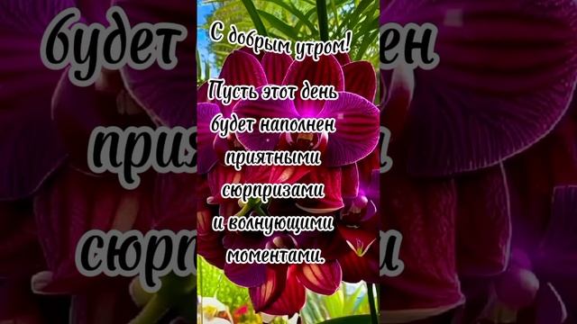 С добрым утром!🤗🌹❤️