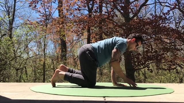 TRAIN NATURAL MOVEMENT   Crawling Workout (BEGINNER FRIENDLY)