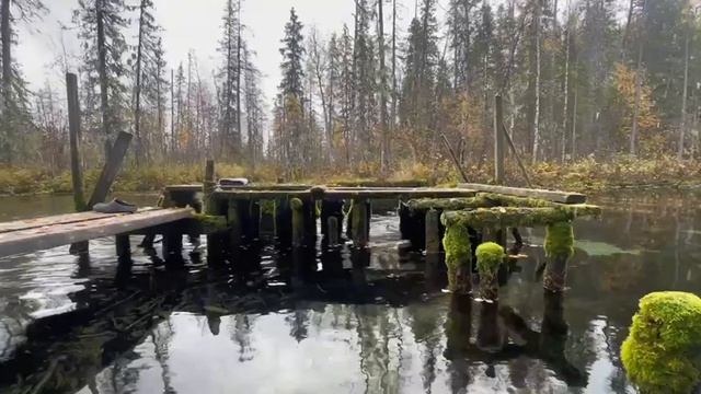 Моржевание/Закаливание