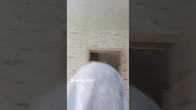 призраков 👻 не существует #мем.mp4