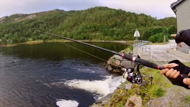 Absolute Beginner Fishing in Norway?! Could cast a spinning rod & catch fish?