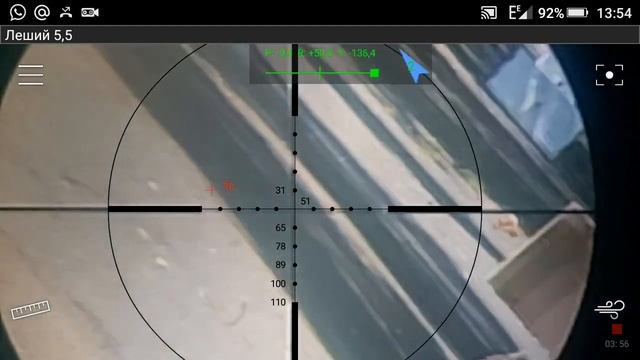 Стрельба Эдган Леший 5.5 с завалом 70метров ShootAssist.