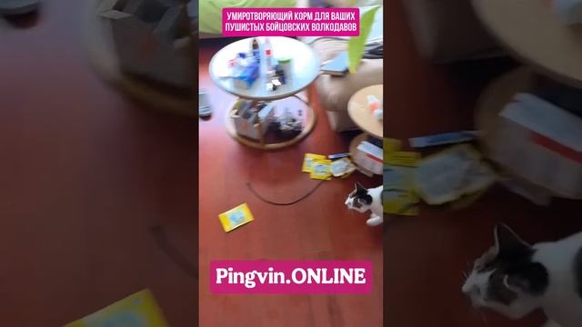 Вкусный корм для кошек и собак на Pingvin.ONLINE