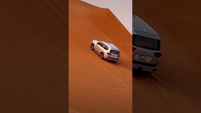 Desert Drive