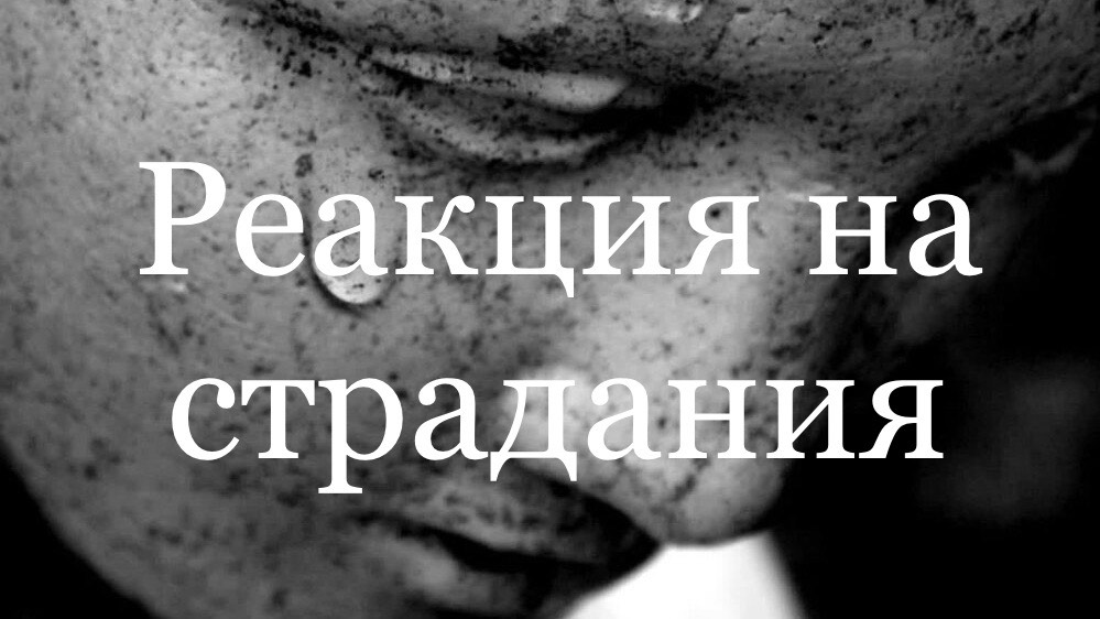 Реакция на страдания (Иов 1:20-22)