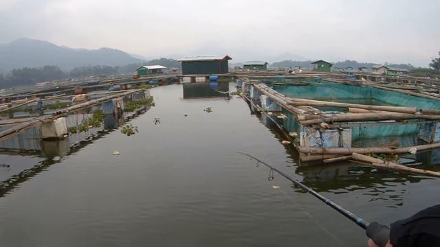 Sambaran Ikan Hampala Mancing Pakai Perahu Karet Hydro Force Marine Pro || Mancing di Saguling ke 6