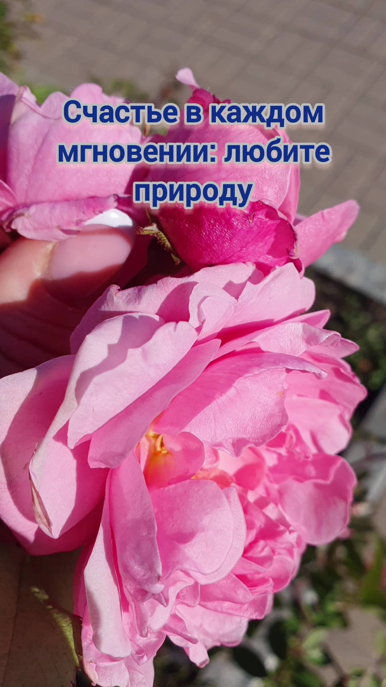Счастье в каждом мгновенье с Аксесс Барс