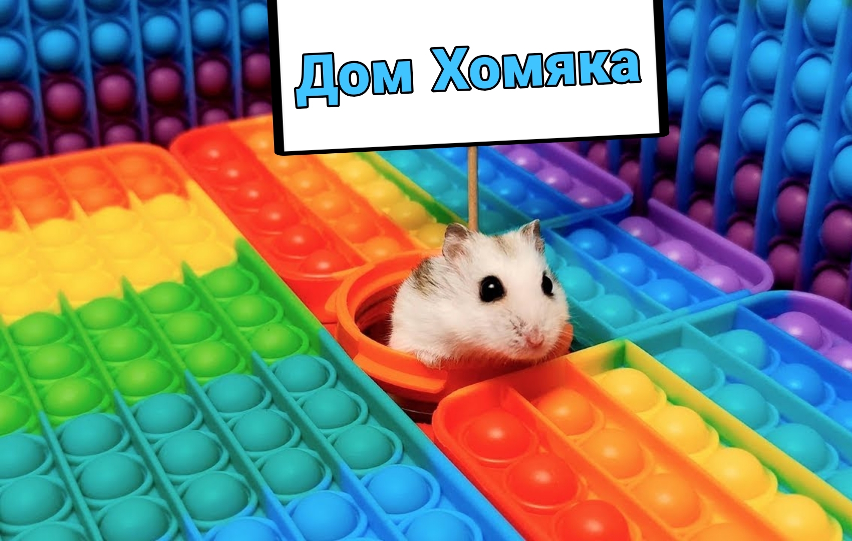 🐹 Хомяк сбегает из лабиринта для животных «Поп-Ит» в реальной жизни 🐹