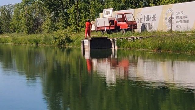 Июнь - на рыбалку плюнь!