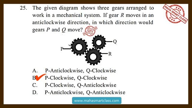 NSO CLASS-5 level-2 2019 | National Science Olympiad SOLVED PAPER | previous year question paper