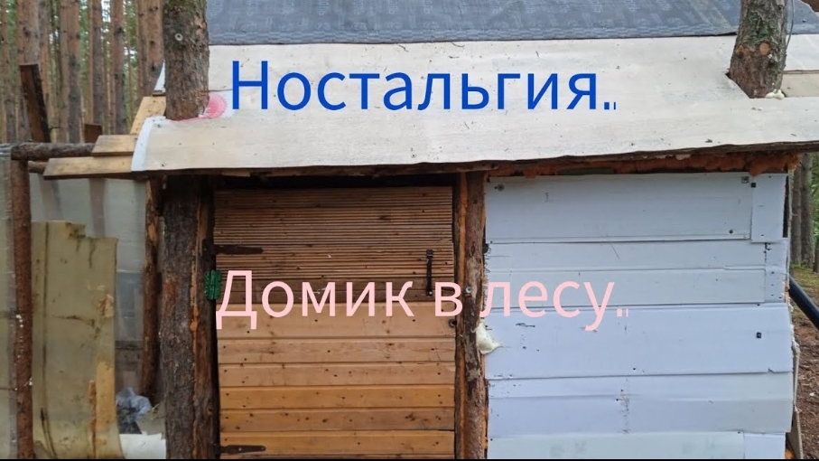 Ностальгия. Домик в лесу.