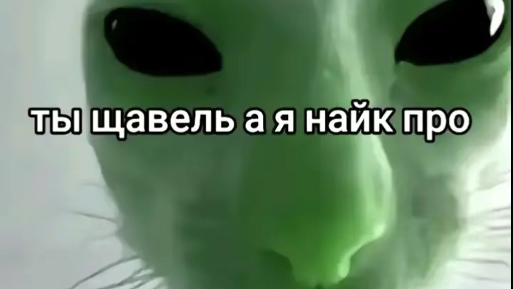 Синий Трактор