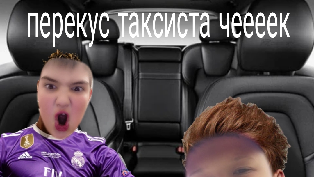 Перекус таксиста чаек с NikItoSik play