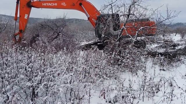 Как быстро выкорчевать пень ,сад .Наш быстрый способ корчевания пней,деревьев.