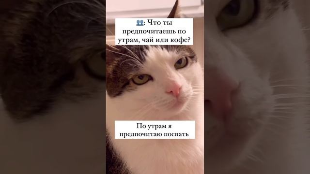 Что ты предпочитаешь по утрам: кофе или чай?