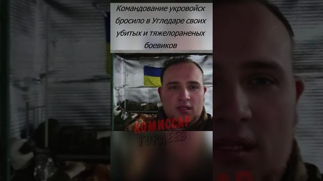 Банный день для остатков формирований националистов