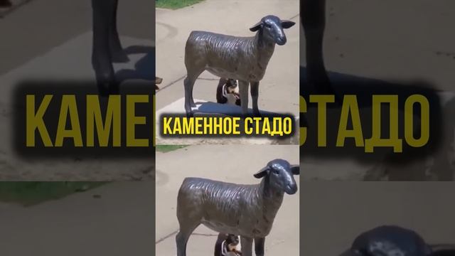 Каменное стадо