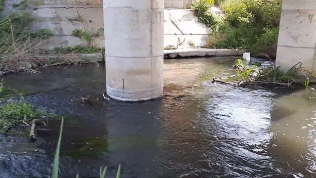 Nu am pescuit dar am fost sa vad cum mai arata Argesul, Sabarul si Ciorogarla in prohibitie