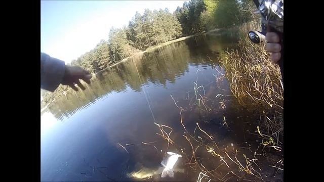 brochet 19 04 14 gopro