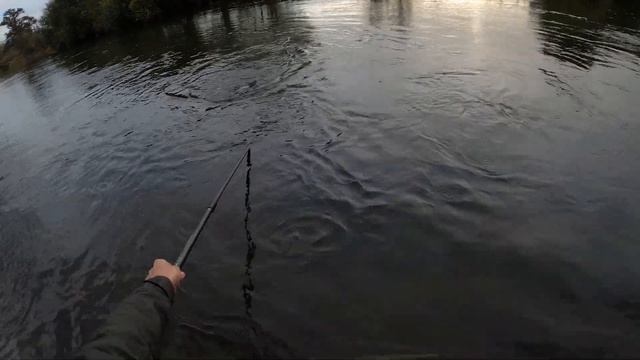 Winter Chub Fishing