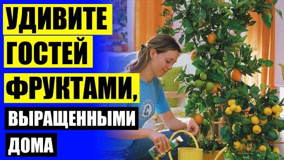 ⚠ МИНИ ФРУКТОВЫЕ ДЕРЕВЬЯ ⚫ НЕОБЫЧНЫЕ КОМНАТНЫЕ ЦВЕТЫ ИЗ СЕМЯН