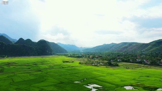 VIETNAM 🇻🇳 8K Video Ultra HD [60FPS] Dolby Vision   Vietnam 8K HDR