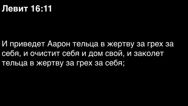 День 31. Библия за год. Книжка Левит. Главы 15-17.