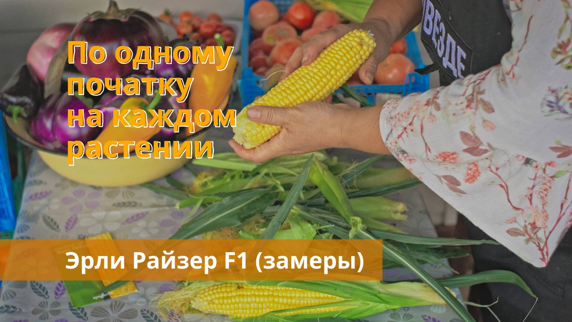 Так ли вкусна? Проверка на прочность Эрли Райзер F1 от SYNGENTA.  Своя кукуруза на Фульвокислотах.