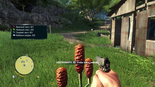 прохошу мисию в Far Cry® 3