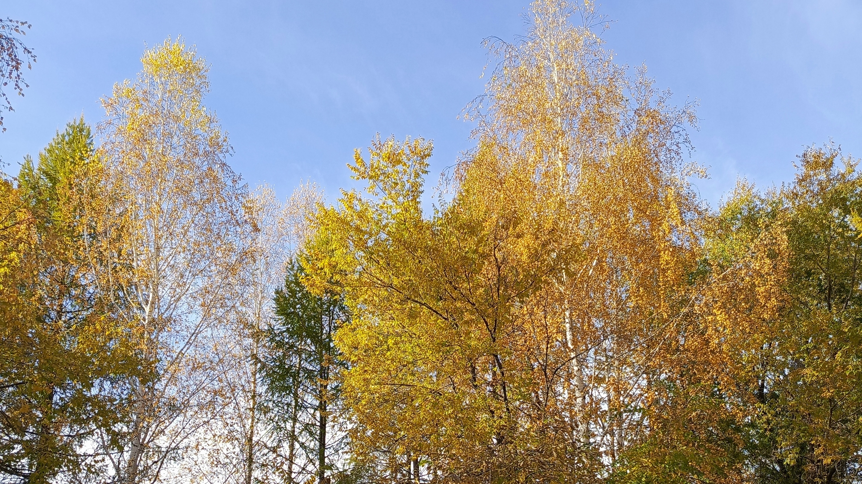 Золотая Осень 🍁 🍂☀️