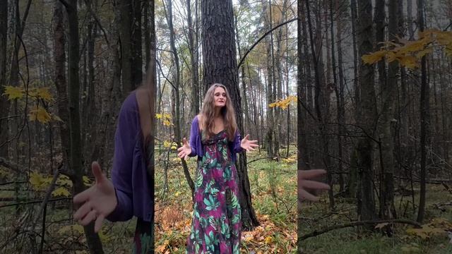 Социальный танец или сцена?