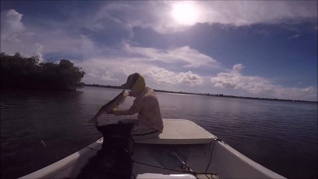 Reel'In'Tense Fish'In' - Salt Strong Entry - Snook Fight 8.1.16