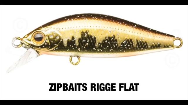 ZIPBAITS RIGGE FLAT 45 S