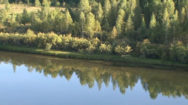 Шишкинские писаницы. Взгляд в прошлое (новая версия)