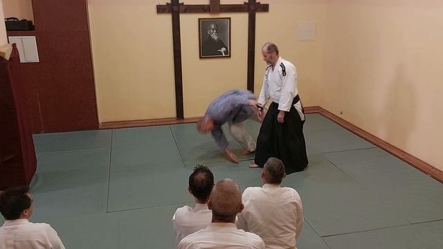 Тренировка по айкидо, изучаем кокью-наге (лето, Севастополь, потом на море...)