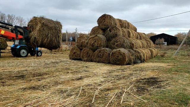 Тюки зимовка