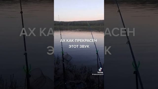 летняя рыбалка на карпа🔥Карп#донка#рыбалка