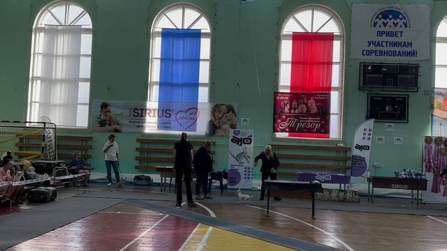 05-10-2024 Рейтинговая выставка ЧемпРКФ,  с особым статусом «Кубок Городов Героев-2024». +speciality