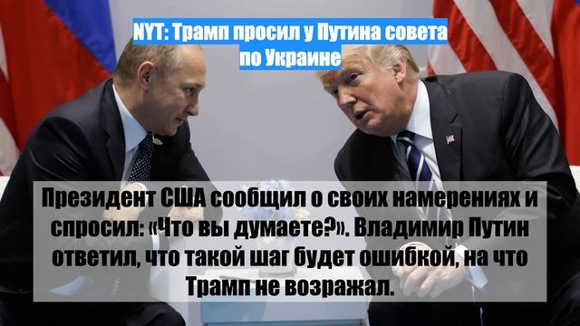 NYT: Трамп просил у Путина совета по Украине